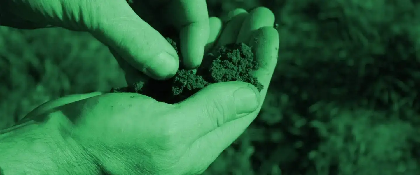 Cheap Competitive Rates